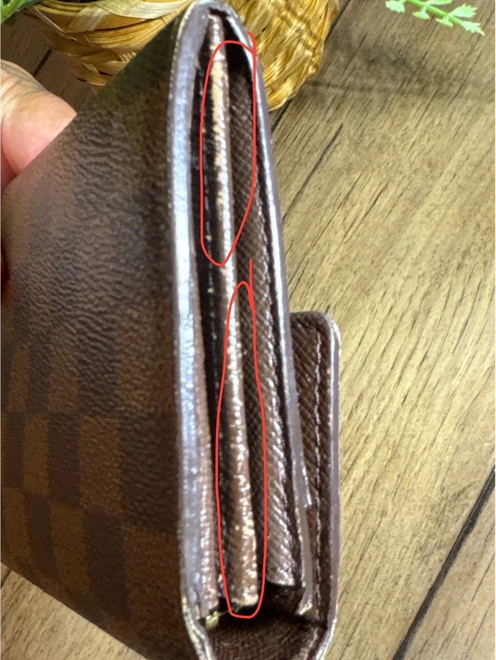 Louis Vuitton authentic louis